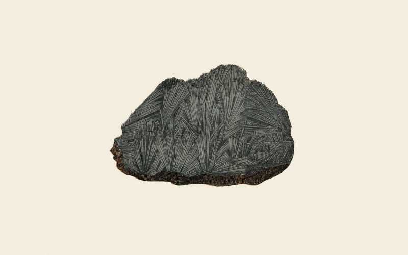 Fossili